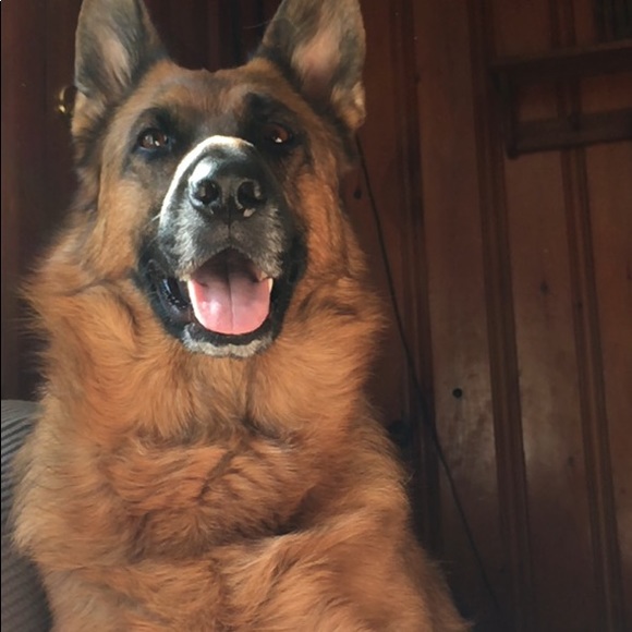 Meet your Posher, Allison - Picture 6 of 8